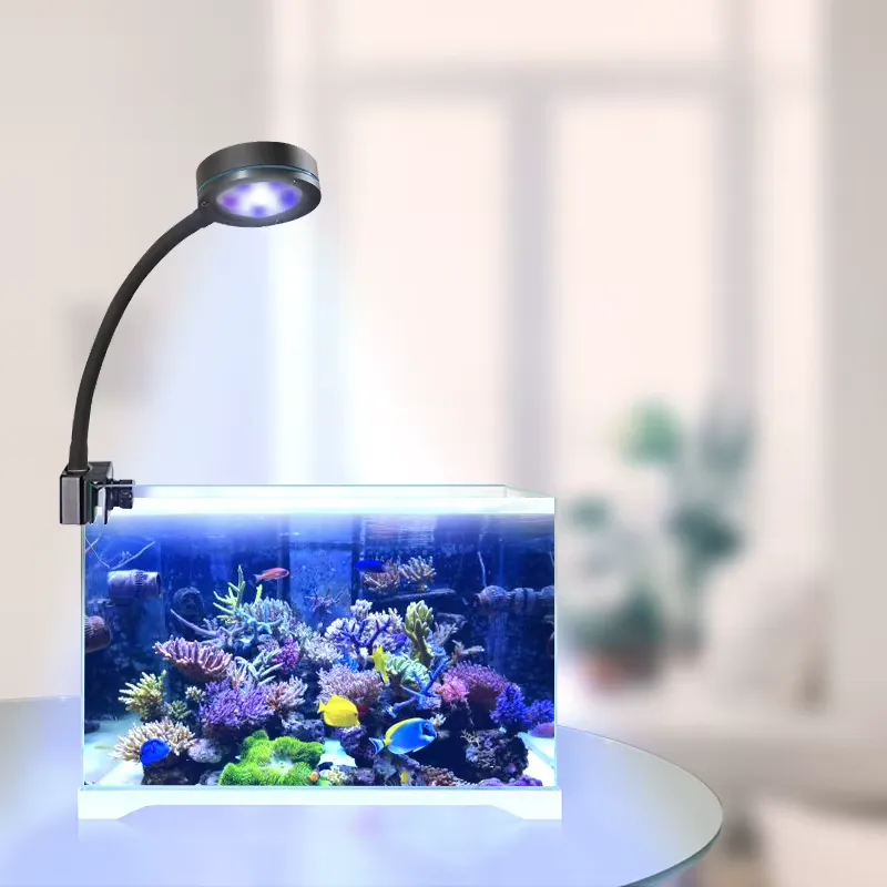 Aquasanrise Светодиодный свети – обзор и цена Aquarium Blue Marine Reef