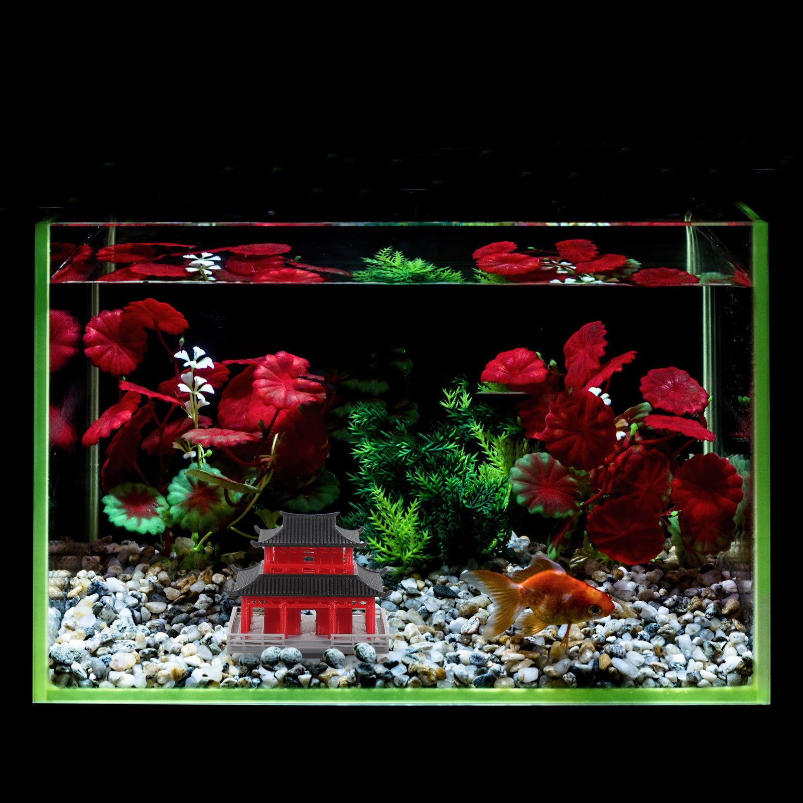 Китайский Древний Павильон, Че – обзор и цена Aquarium & Marine Science Center