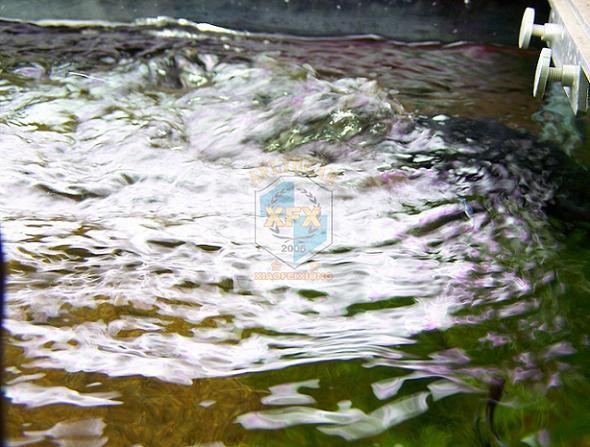 Sunsun Jvp-200 новейший насос  – обзор и цена Aquarium Marine Color