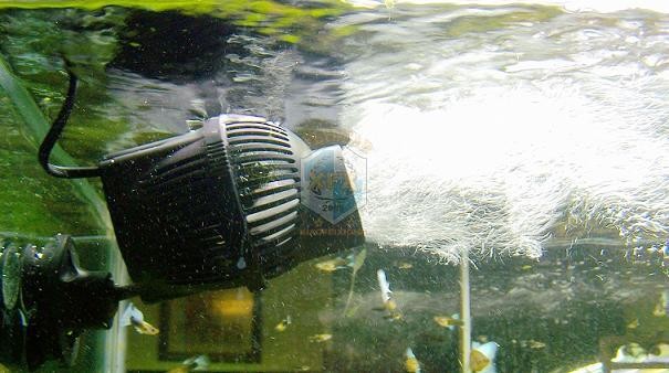 Sunsun Jvp-200 новейший насос  – обзор и цена Aquarium Marine Color
